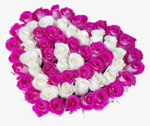 Heart Shape- Fresh Cut Roses - Rose #1353275