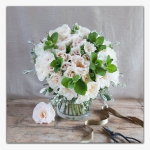 Jilly, Trade Sales - Garden Roses #1353367