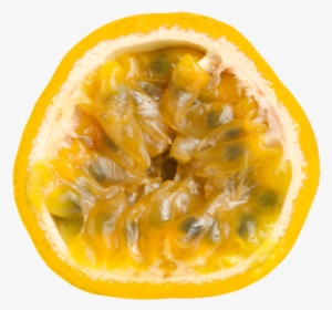 Passion Fruit - Passion Fruit Transparent #1354245