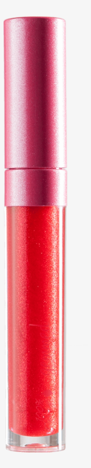 Lip Gloss #1355254 Lip Gloss #1355254
