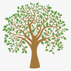 Tree Graphic Png - Sociology: The Basics [book] #1355610