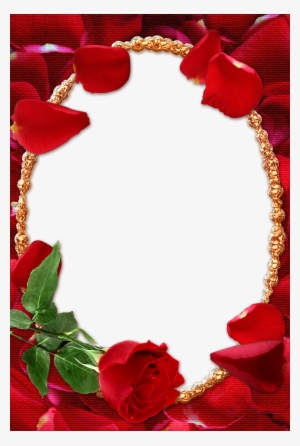 Rose Photo Frame Png #1355641