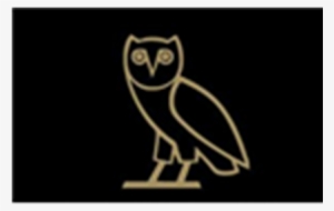 Ovo Owl Png Graphic Free Download - Xxxtentation Backgrounds #1355788