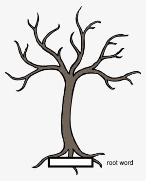 Branches On A Tree #1355906