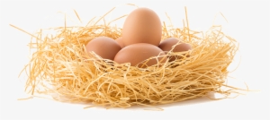 Frente Ao Farelo De Soja, A Queda No Poder De Compra - Eggs In Nest Png #1356020