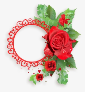 Red Roses Frames - Transparent Red Rose Png Frame #1356601