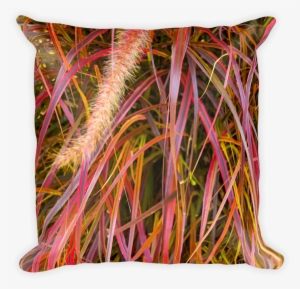 Lankershim Village Fountain Grass Square Pillow - Fountain Grass #1356826