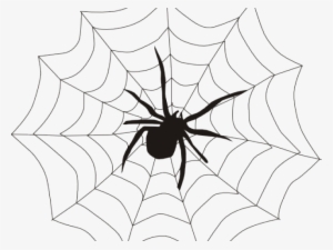 Web Clipart Spinder - Web Of A Spider #1356866