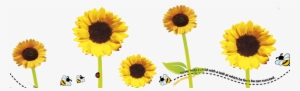 Sunflower Flower Free Png Transparent Images Free Download - Sunflower #1356873