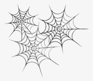 Activity 1 Make A Word Web - Spider Webs With Words #1356956