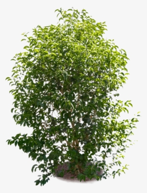 Null - Backyard Builder Png Moon Valley #1357110