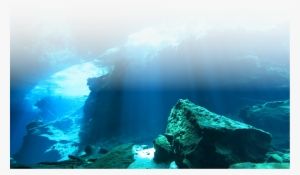 Png Black And White Library Ftestickers Sea Nature - Young Igi Nemo #1357129