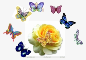 Mariposas - Good Night Images Beautiful Roses #1357228