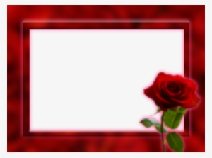 Phtoframe Background Png Clipart Garden Roses Picture - Png Images Rose Background #1357255