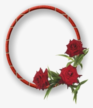 Mq Red Roses Frame Frames Border Borders Flowers - Garden Roses #1357277