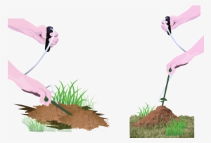 Out Of Extensive Research And Testing, Mole Zap And - Ant Mole #1357359