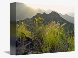 "island Of Eternal Spring" By Marek Stepan - Summit #1357469