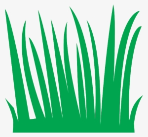 Sea Grass Clipart Tall - Grass Blades Cartoon #1357536