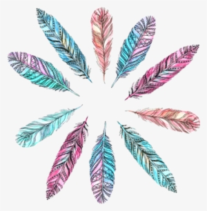 Feathers - Transparent Bohemian Feather Png #1357538