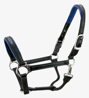 Signature Padded Horse Halter -s5000 - Horse #1357585