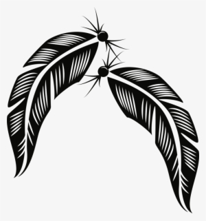 Feather Bird Description Plumage - Plumas Vector #1357625
