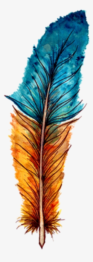 Watercolor Feather Transparent Background #1357631