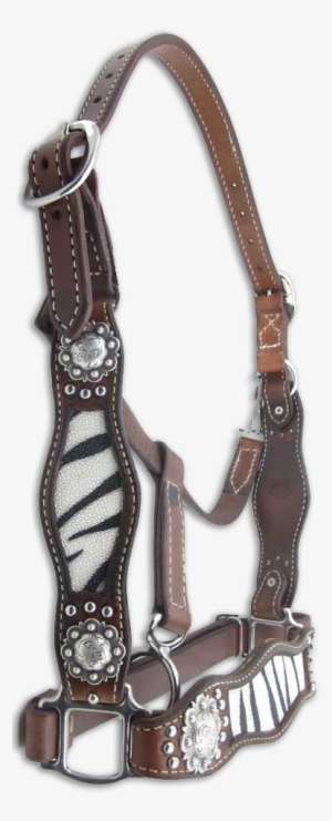 Horse Tack - Halter #1357715