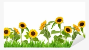 Sun Flower Garden Clip Art #1357726