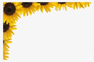 Sunflower Frame - Sunflower Border Design - Free Transparent PNG