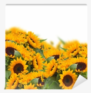 Sunflowers And Calendula Flowers Border Wall Mural - Common Sunflower #1358153