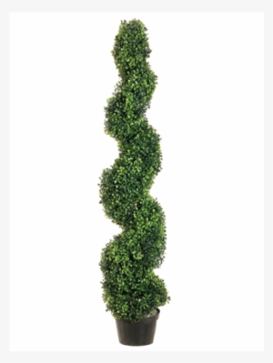 4' Boxwood Spiral Topiary In Plastic Pot Green #1358380