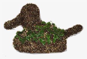 Duck Topiary Planted - Duck #1358608
