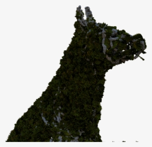 Close Up Topiary 228 Kb - Statue #1358632
