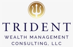 Boutique Strategy Consulting Firm Trident In Denver #1358819
