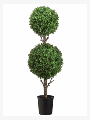 4' Double Ball Boxwood Topiary In Black Plastic Pot - Darby Home Co Dbl ...