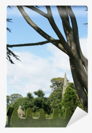 Tree - Topiary - Hedge - Decorative Yew Topiary Wall - Topiary #1359140