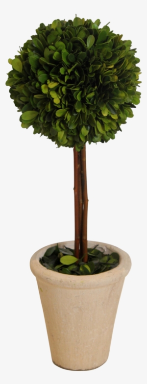 Topiary- Boxwood 16 In - Heart Topiary #1359426