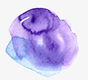 About Me - Image May Contain: Text #1359467