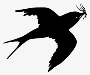 Sparrow - Black Sparrow Png #1360227