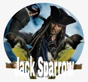 Sh Figuarts Pirates Of The Caribbean #1360276