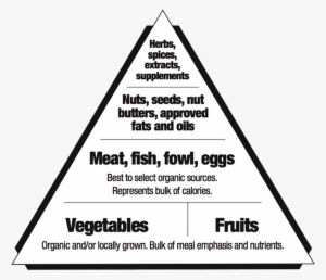 Foodpyramid - Maslow's Hierarchy Of Needs Art #1360536