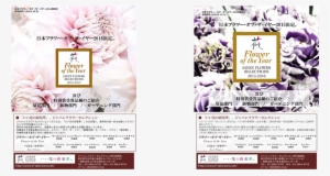 Winners Varieties Introduction Book - Chinese Peony #1360680