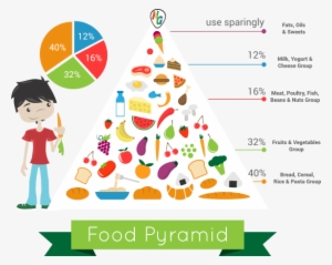 The Food Pyramid, Developed By The Us Department Of - Industry Segmentation For Food #1361119