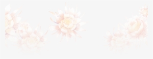 Background Flowers - Transparent Background Flowers Png #1361120