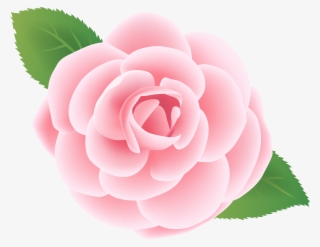 Pink Flower Deco Png Clip Art Image - Japanese Camellia #1361442