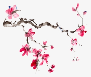 Japanese Flower - Colours Of Ageing 30 Years Of Research Erly #1361564