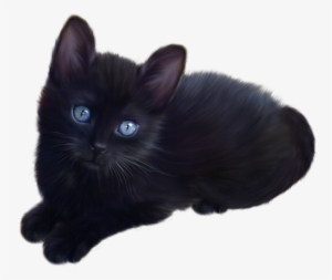 Tube Chat - Black Kitten Transparent Background #1363659