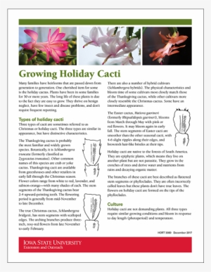 1 Alt - Lily #1365123 1 Alt - Lily #1365123