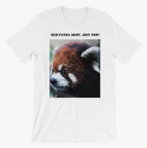 Red Panda Army - Red Panda #1365764 Red Panda Army - Red Panda #1365764