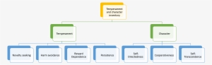 Temperament And Character Inventory - Scope Of Management Audit #1365798